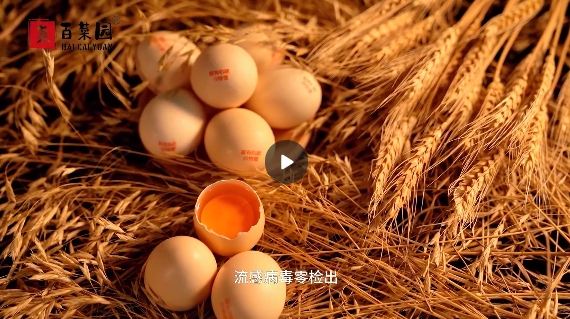 &#27431;&#23453;&#32593;&#39029;&#29256;&#45;&#27431;&#23453;&#40;&#20013;&#22269;&#41;